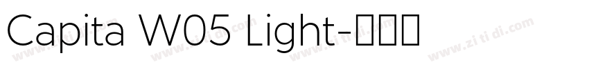 Capita W05 Light字体转换